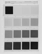 squares.jpg