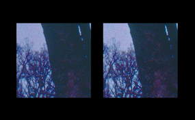 minolta5400_scan_noise_problem3.jpg