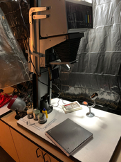 darkroom-6a.jpg