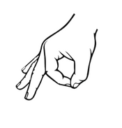 InCollage_20250106_063934402.png