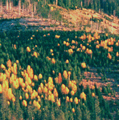 vue0002_test.jpg