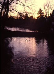 Image0034a_s.jpg