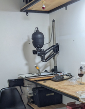 PXL_20241229_173347512 (1).jpg