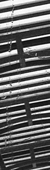 img927.jpg