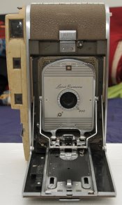 DSC_6934.JPG