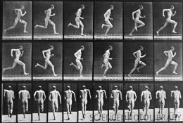 V8000065-Muybridge_photo_sequence_of_a_running_man-SPL.jpg