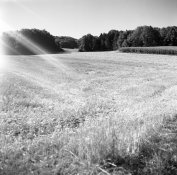 epsonscan-008.jpg epsonscan-008.jpg