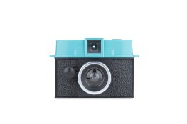 Diana110.jpg