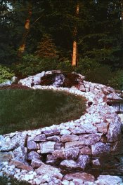 pond.jpg