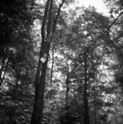 img005.jpg