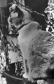 img001.jpg img001.jpg