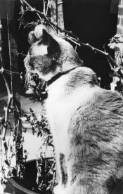 img002.jpg img002.jpg