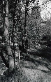 img482.jpg