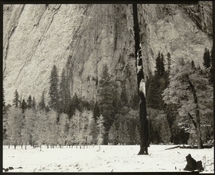 ElCapitanMeadowSnow_Platinum copy.jpg