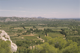 2023-04-15-0004.jpg