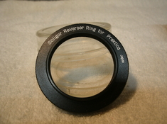 GEDC7662.JPG