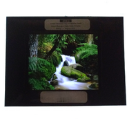 MiddleCreek_MBSP.png