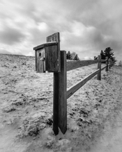 DSC_1258 posting.jpg
