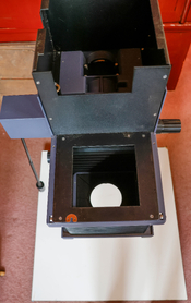 _C0A3772.JPG