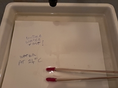 Space_Pen_Underwater_20250223_105736.jpg