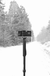 DSC_3438.jpeg
