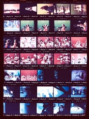 IMG_0351.jpeg