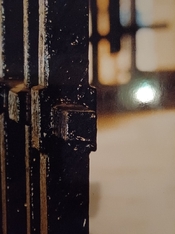 20250302_230500.jpg