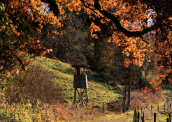 2018-Nov-F-48 Der Hochsitz am Schloss Achberg - FFF.jpg