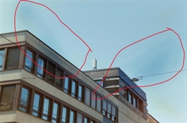 20250315-IMG00408_remapped.jpg