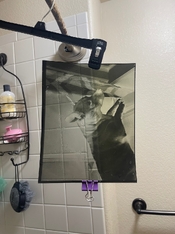 IMG_2558.jpeg