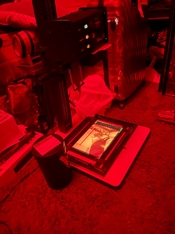 IMG_2560.jpeg