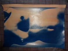 Copper sulfate 0.5%.jpg