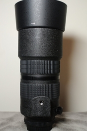 DSC_0055.JPG