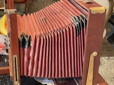IMG_6388.jpg