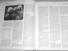 ICP 584.jpg