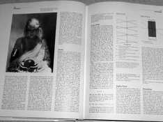 ICP 585.jpg