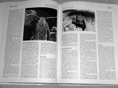 ICP 586.jpg