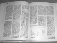 ICP 587.jpg