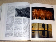 ICP 598.jpg