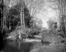 DTP07neg50.jpg