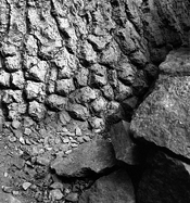 Tree bottom and rocks.jpg