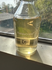 IMG_1536.jpeg