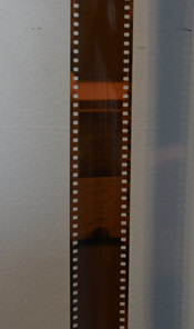 CZF_0492.JPG