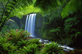 Window to the Falls_Hopetoun Falls_2678-31.png