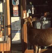 Provia2_Crop.jpg