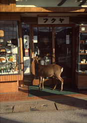 Provia2_Whole.jpg