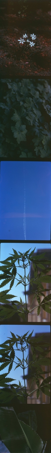 j1-min.jpg