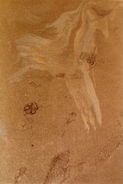 AprilFilm_Roll5_6-edit-small.jpg