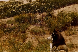 AprilFilm_Roll5_2-edit-small.jpg
