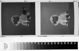 negs2.jpg